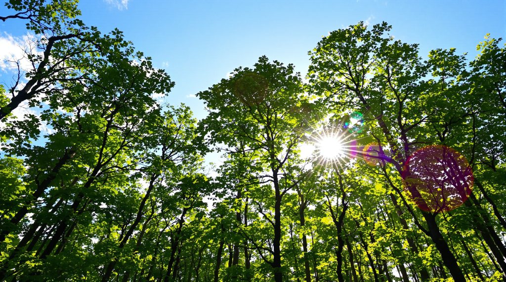 Image des produits Equilal pour le bien-être