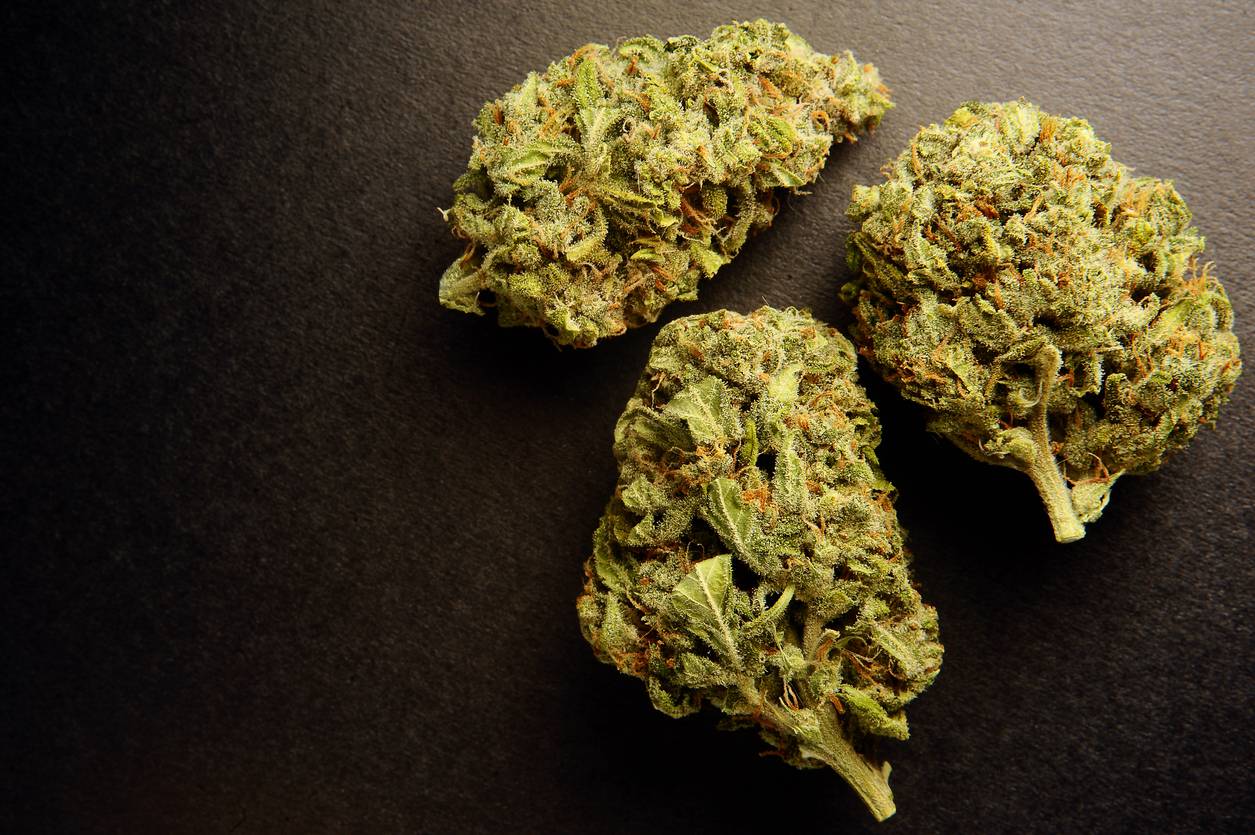 achat fleur cannabidiol premium